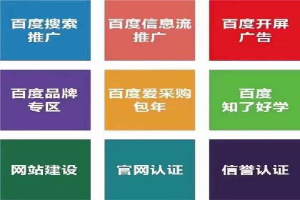 某品牌的信息流广告投放策略及效果展示